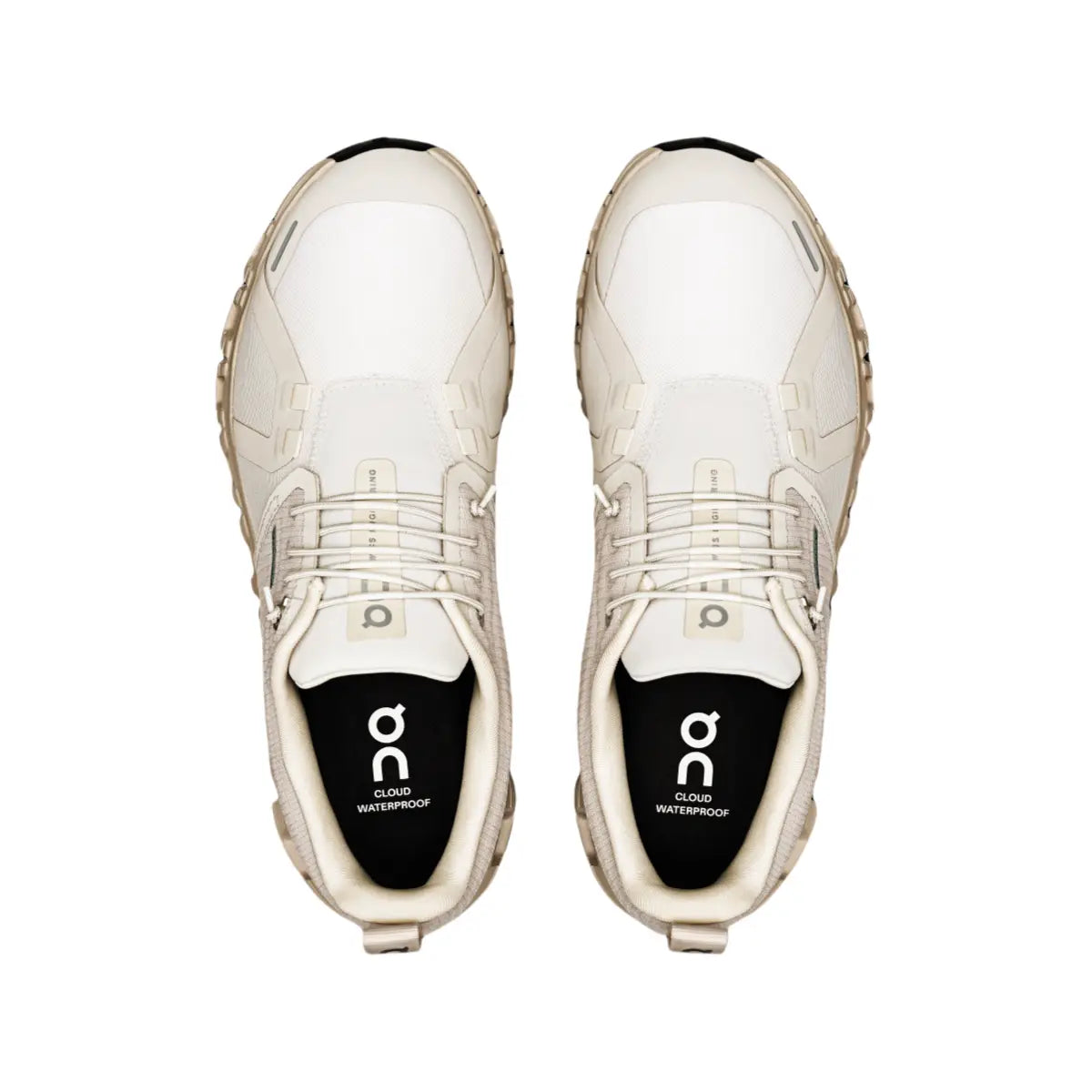 Cloud 6 WP Embrace Every Step, No Matter the Weather