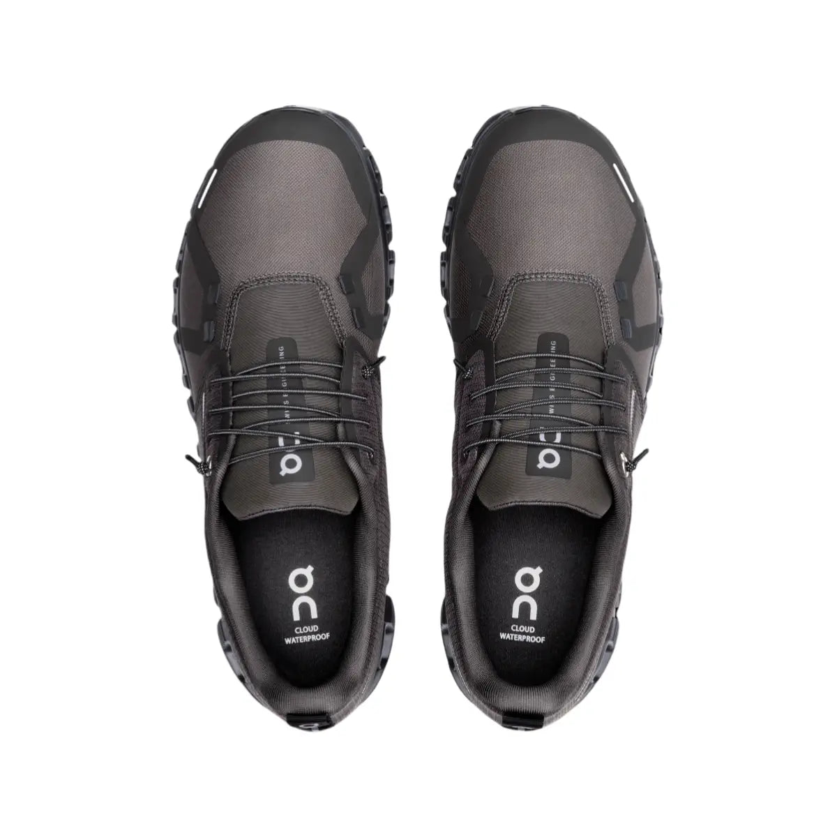 Cloud 6 WP Embrace Every Step, No Matter the Weather