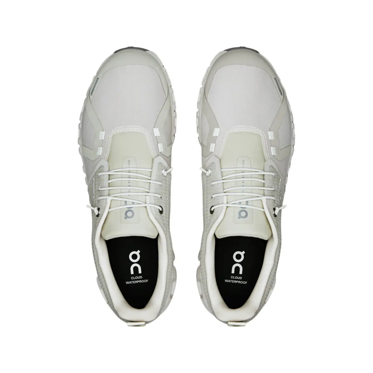 Cloud 6 WP Embrace Every Step, No Matter the Weather